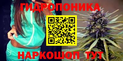 spice Бузулук