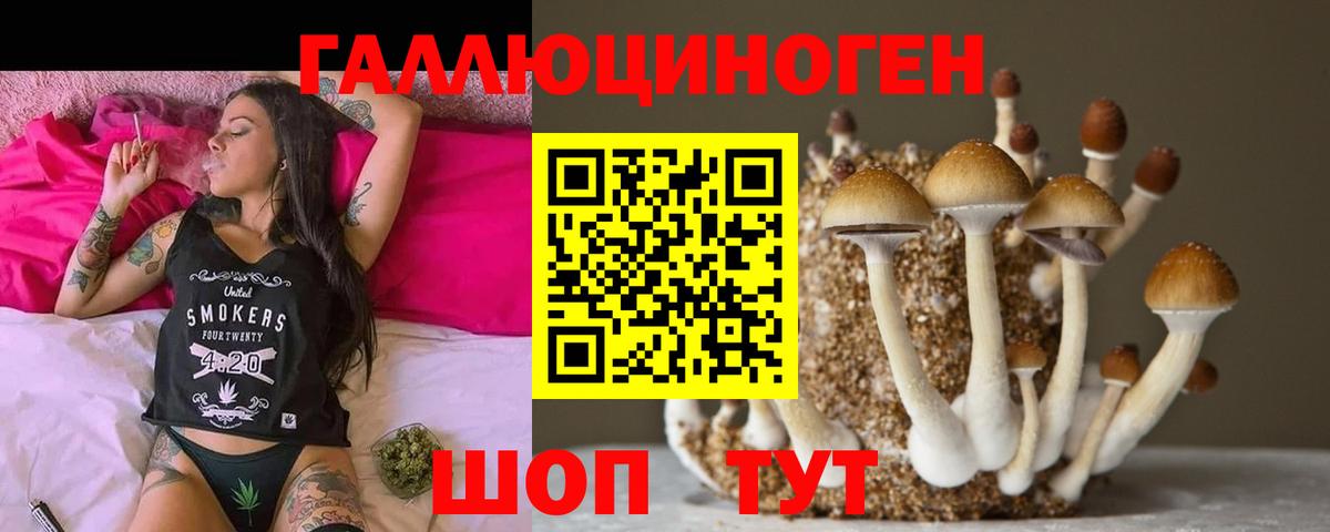 Псилоцибиновые грибы мухоморы  Вход с VPN  Галлюциногенные грибы MAGIC MUSHROOMS  Подольск 
