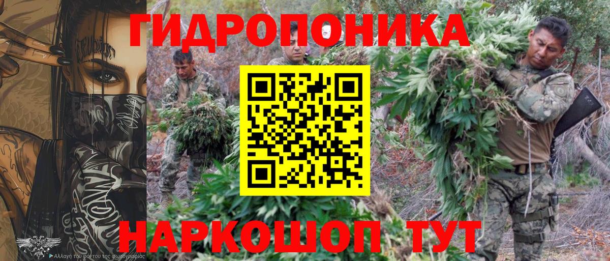 Конопля сатива  Конопля Bruce Banner  Вход с VPN  Подольск 